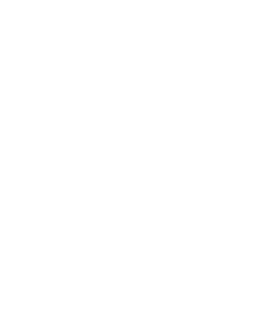 dark logo